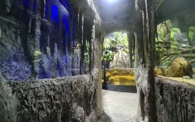 Zakopane 2024 - Zimowisko rekreacyjne (8-13 lat) i  obóz rekreacyjny (14-17 lat)